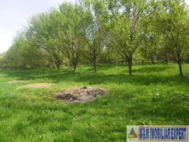urgent-casa-3-camere-teren-4935-mp-campulung-5