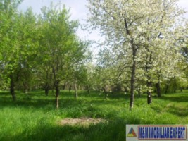 urgent-casa-3-camere-teren-4935-mp-campulung-7