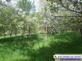 urgent-casa-3-camere-teren-4935-mp-campulung-8