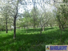 urgent-casa-3-camere-teren-4935-mp-campulung-11