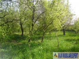 urgent-casa-3-camere-teren-4935-mp-campulung-12