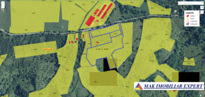 urgent-casa-3-camere-teren-4935-mp-campulung-15