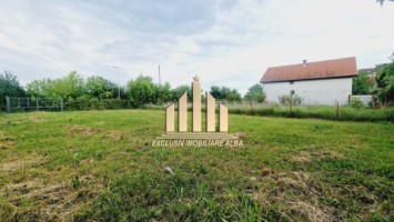 teren-intravilan-de-vanzare-cetate-2