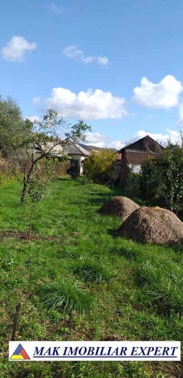 casa-4-camere-teren-854-mp-domnesti-27