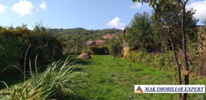 casa-4-camere-teren-854-mp-domnesti-28