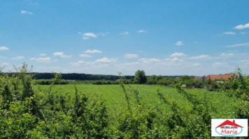 teren-extravilan-356-hectare-in-dorolt-id-22873-1