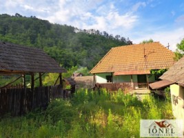 vanzare-casa-in-apropiere-de-zlatna-6