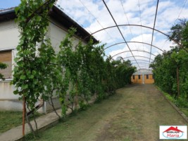 casa-cu-gradina-in-cauas-zona-tasnad-id-22876