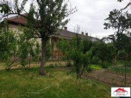 casa-cu-gradina-in-cauas-zona-tasnad-id-22876-2