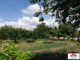 casa-cu-gradina-in-cauas-zona-tasnad-id-22876-3