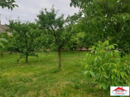 casa-cu-gradina-in-cauas-zona-tasnad-id-22876-5