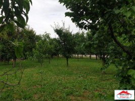 casa-cu-gradina-in-cauas-zona-tasnad-id-22876-6