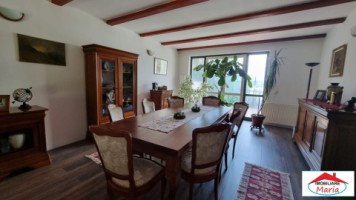 casa-centrala-demisol-parter-mansarda-teren-id-22468-3