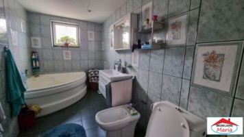 casa-centrala-demisol-parter-mansarda-teren-id-22468-5
