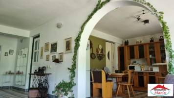 casa-centrala-demisol-parter-mansarda-teren-id-22468-13