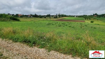 teren-intravilan-129-hectare-viile-satu-mare-id-22714-4