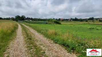 teren-intravilan-129-hectare-viile-satu-mare-id-22714-2