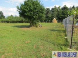 teren-1000-mp-intravilan-de-vanzare-in-campulung-muscel-arges-ideal-pentru-constructii-rezidentiale-1