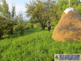 teren-1000-mp-intravilan-de-vanzare-in-campulung-muscel-arges-ideal-pentru-constructii-rezidentiale-11