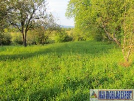 teren-1000-mp-intravilan-de-vanzare-in-campulung-muscel-arges-ideal-pentru-constructii-rezidentiale-12