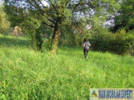 teren-1000-mp-intravilan-de-vanzare-in-campulung-muscel-arges-ideal-pentru-constructii-rezidentiale-14