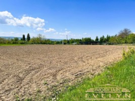 de-vanzare-teren-intravilan-3299mp-sat-ionaseni-varful-campului-pret-28000-euro-negociabil-3