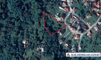 teren-intravilan-4000-mp-in-bughea-de-jos-arges-potential-ridicat-pentru-constructii-17