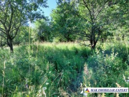 teren-7350-mp-extravilan-de-vanzare-in-campulung-muscel-arges-ideal-pentru-investitii-agricole