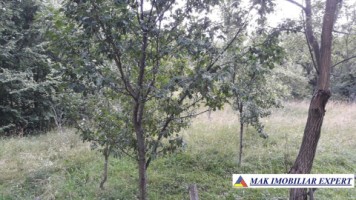 teren-7350-mp-extravilan-de-vanzare-in-campulung-muscel-arges-ideal-pentru-investitii-agricole-3