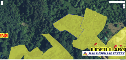 teren-7350-mp-extravilan-de-vanzare-in-campulung-muscel-arges-ideal-pentru-investitii-agricole-8