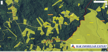 teren-7350-mp-extravilan-de-vanzare-in-campulung-muscel-arges-ideal-pentru-investitii-agricole-10