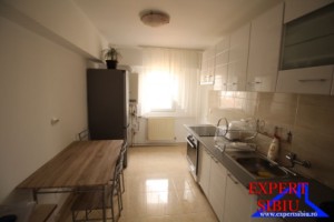 inchiriez-ap3-camere-decomandatrecent-renovatzona-garii-langa-mall-8