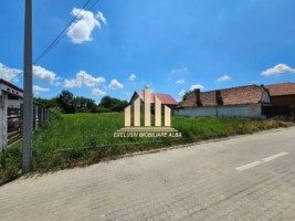 teren-intravilan-de-vanzare-partos-2