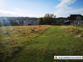 vand-teren-intravilan-1-ha-cretisoara-arges-ideal-pentru-dezvoltare-rezidentiala-sau-turistica