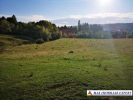 vand-teren-intravilan-1-ha-cretisoara-arges-ideal-pentru-dezvoltare-rezidentiala-sau-turistica-1