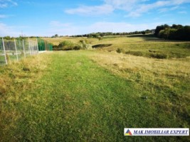 vand-teren-intravilan-1-ha-cretisoara-arges-ideal-pentru-dezvoltare-rezidentiala-sau-turistica-2