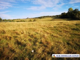 vand-teren-intravilan-1-ha-cretisoara-arges-ideal-pentru-dezvoltare-rezidentiala-sau-turistica-3