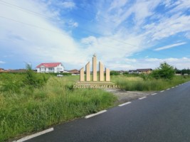 teren-intravilan-de-vanzare-cetate-1