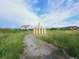 teren-intravilan-de-vanzare-cetate-2