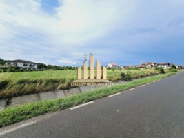 teren-intravilan-de-vanzare-cetate
