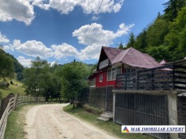 vila-3-camere-cu-teren-de-1100-mp-de-vanzare-in-dambovicioara-arges-perfecta-pentru-casa-de-vacanta-6