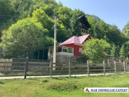 vila-3-camere-cu-teren-de-1100-mp-de-vanzare-in-dambovicioara-arges-perfecta-pentru-casa-de-vacanta-12