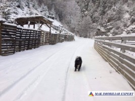 vila-3-camere-cu-teren-de-1100-mp-de-vanzare-in-dambovicioara-arges-perfecta-pentru-casa-de-vacanta-16