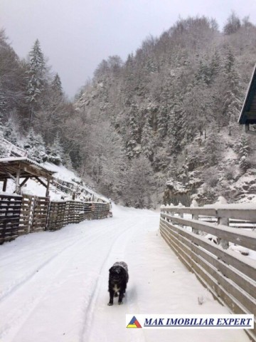 vila-3-camere-cu-teren-de-1100-mp-de-vanzare-in-dambovicioara-arges-perfecta-pentru-casa-de-vacanta-18