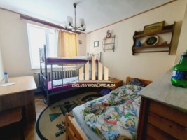 casa-individuala-de-vanzare-cetate-10