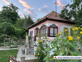vizionari-dupa-15-martie-2025-casa-cu-4-camere-si-teren-de-1000-mp-de-vanzare-mihaesti-arges-2