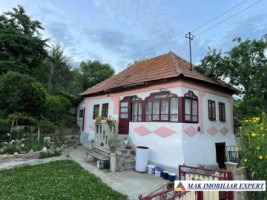 vizionari-dupa-15-martie-2025-casa-cu-4-camere-si-teren-de-1000-mp-de-vanzare-mihaesti-arges-1