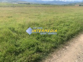 436-mp-teren-intravilan-cu-puz-in-alba-zona-prelungire-orizont-6