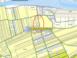 teren-intravilan-vanzare-562-mp-alba-micesti-zona-sesuri-2