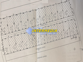 teren-intravilan-vanzare-562-mp-alba-micesti-zona-sesuri-4